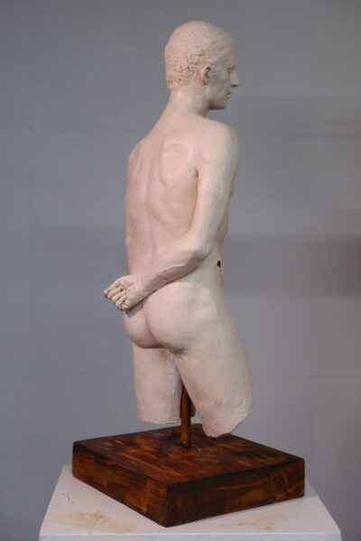 MetaTorso724